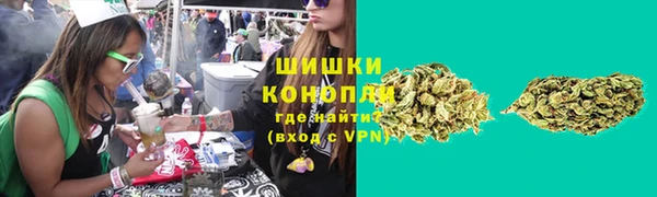 бошки Богданович