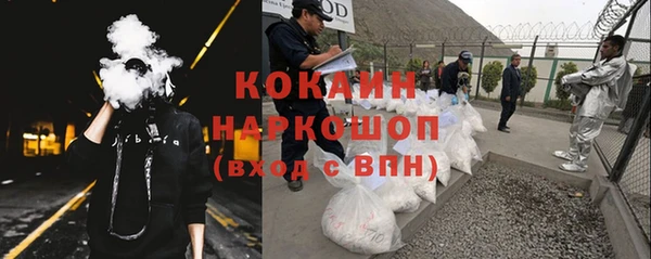 бошки Богданович